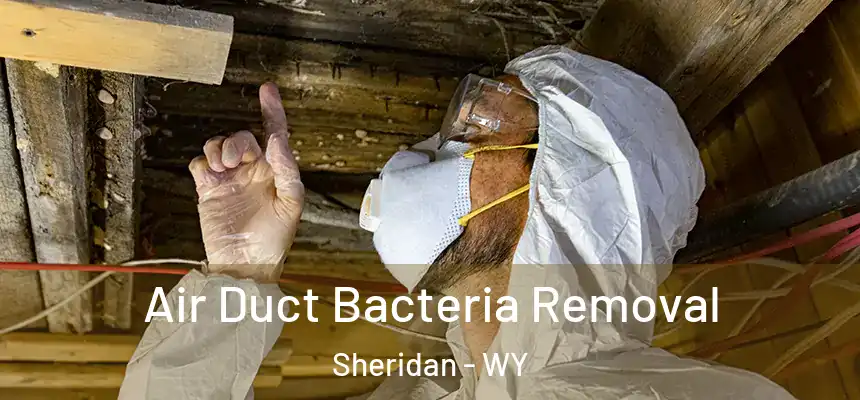  Air Duct Bacteria Removal Sheridan - WY