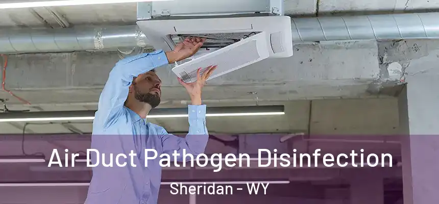  Air Duct Pathogen Disinfection Sheridan - WY