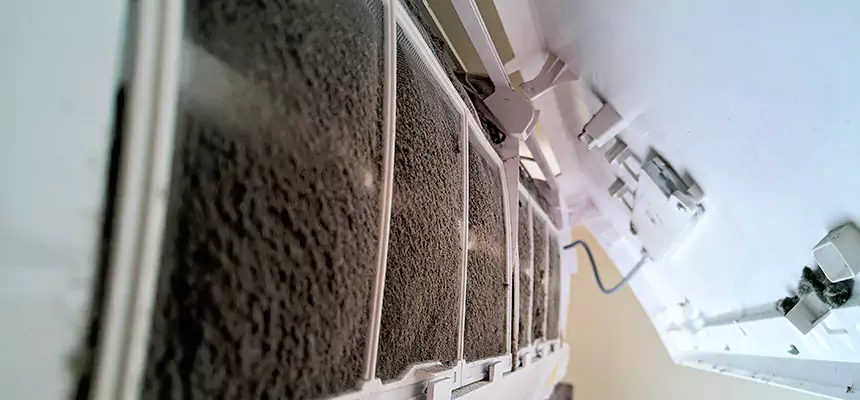 Preventive Air Duct Bacteria Removal in Sheridan