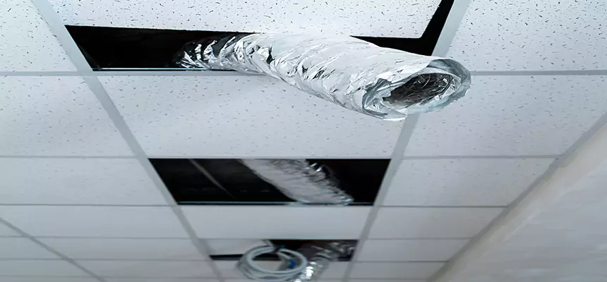 Our Air Duct Pet Hair Removal Services in Sheridan, WY