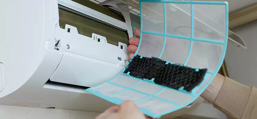 Gentle Ductwork Odor-Control Pet Dander Duct Cleaning in Sheridan, WY