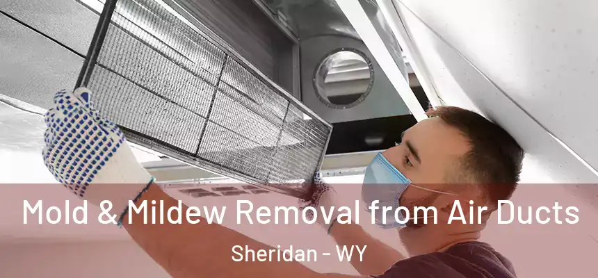  Mold & Mildew Removal from Air Ducts Sheridan - WY