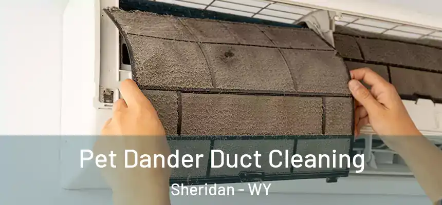  Pet Dander Duct Cleaning Sheridan - WY