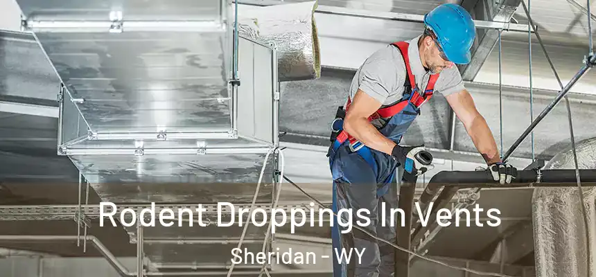  Rodent Droppings In Vents Sheridan - WY