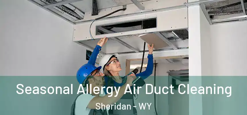  Seasonal Allergy Air Duct Cleaning Sheridan - WY