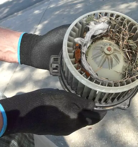 About Air Duct Mice Removal in Sheridan, WY