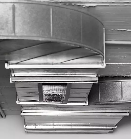 Professional Air Duct Pest Removal in Sheridan, WY