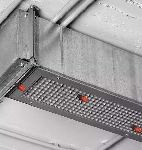 Affordable Insect Removal from Air Ducts in Sheridan, WY