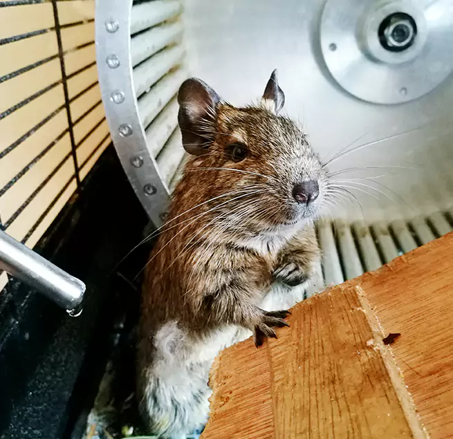 Why Homeowners & Businesses Trust Us Sheridan, WY?