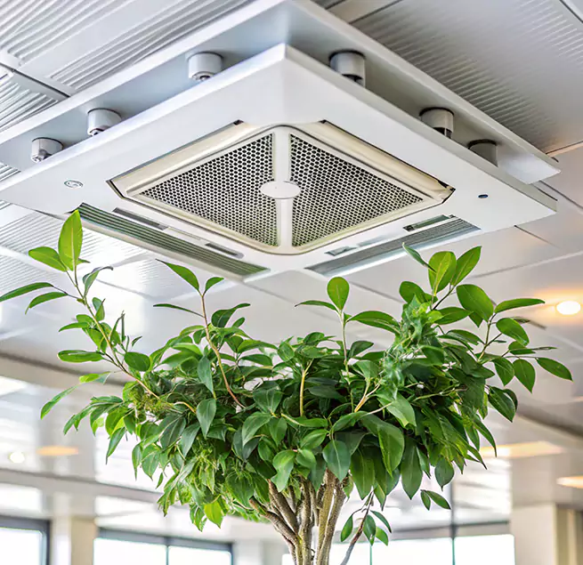 Why Homeowners & Businesses Trust Us in Sheridan, WY?